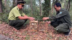 Kiểm lâm nói gì về việc nuôi chim cảnh TP Huế siết chặt quản lý nuôi nhốt chim trời: Bảo vệ thiên nhiên là trách nhiệm của cả cộng đồng