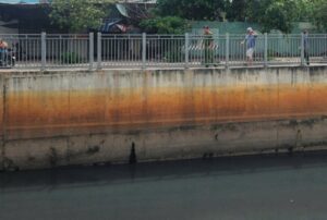 Đã bắt được cá sấu dưới kênh nước đen ở TPHCM