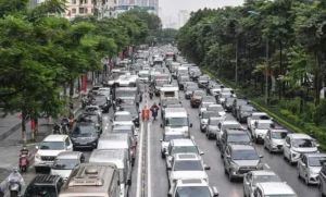 Cọc rào giữa đường