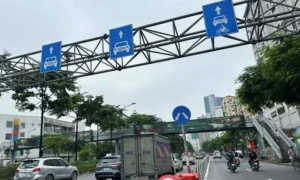 Cọc rào giữa đường