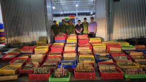Cận cảnh quy mô cực lớn gây choáng của "tổng kho" sản xuất nước yến giả tại Đà Nẵng