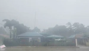 Bão Matmo