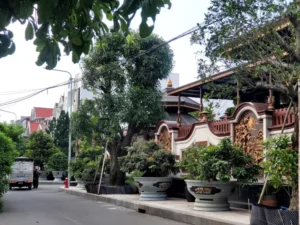 Công an đồng loạt tiến hành khám xét biệt thự của chủ thẩm mỹ viện Mailisa ở TP.HCM