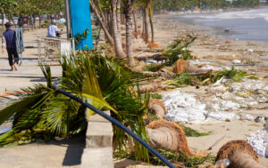 Dừa bật gốc cát phủ kín 3 km đường ven biển Đà Nẵng