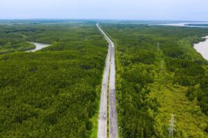 UBND TPHCM chấp thuận chủ trương đầu tư tuyến đường sắt tốc độ cao Bến Thành - Cần Giờ