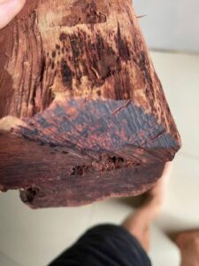 Bí ẩn thế lực đứng sau