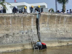 Vì sao kè biển dự án 12.000 tỉ đồng ở TP.HCM bị sập